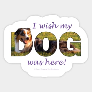 I wish my dog was here - Australian Shepherd Collie oil painting word art Sticker